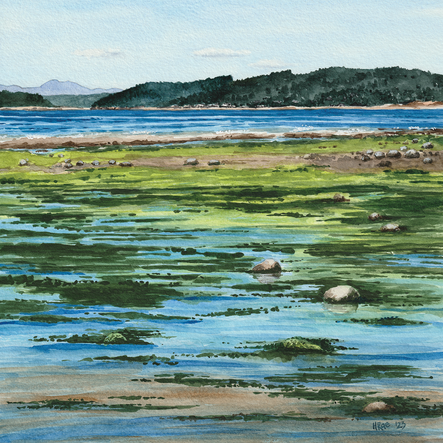Summer Seaweed Greens