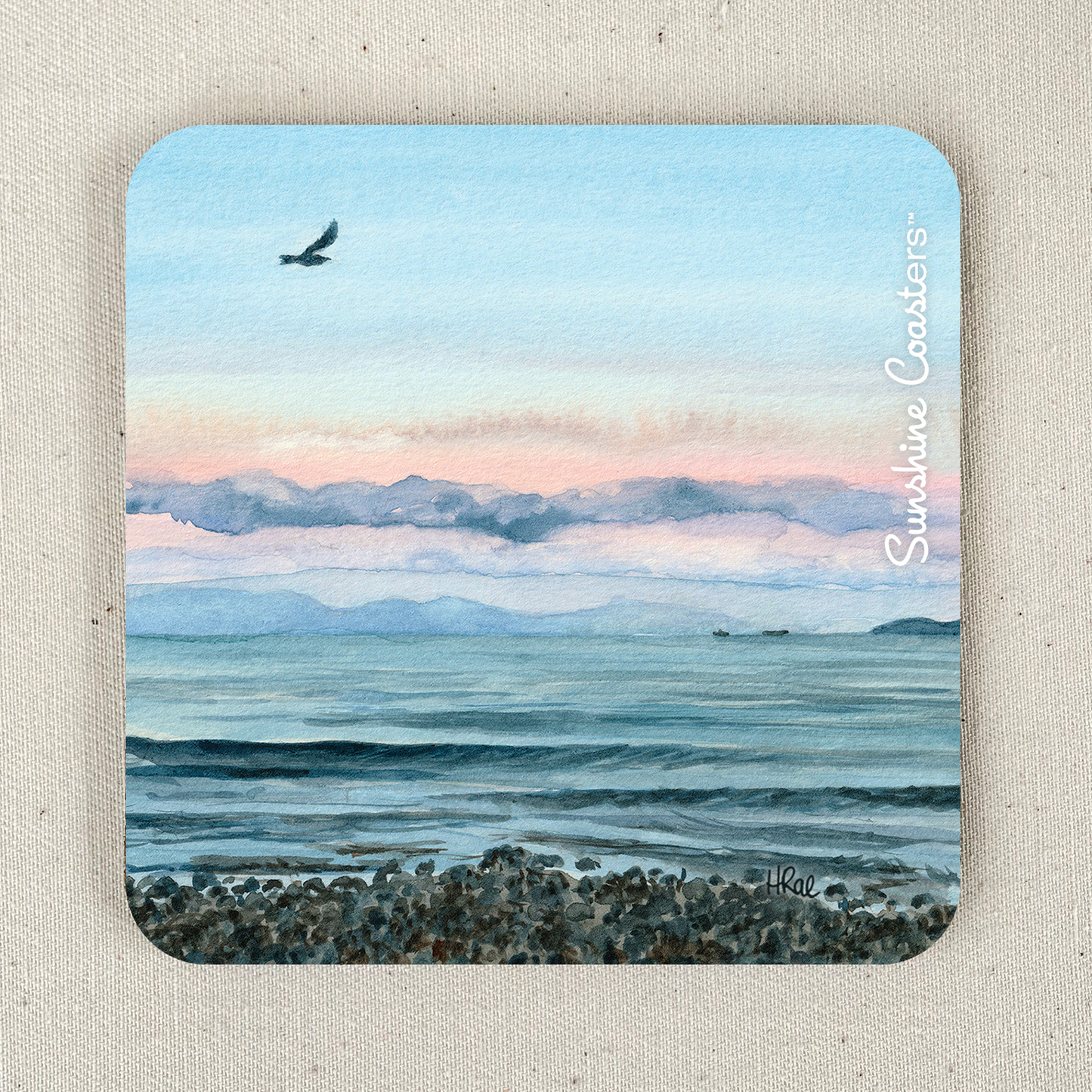 Sunshine Coasters™ - 2023 collection
