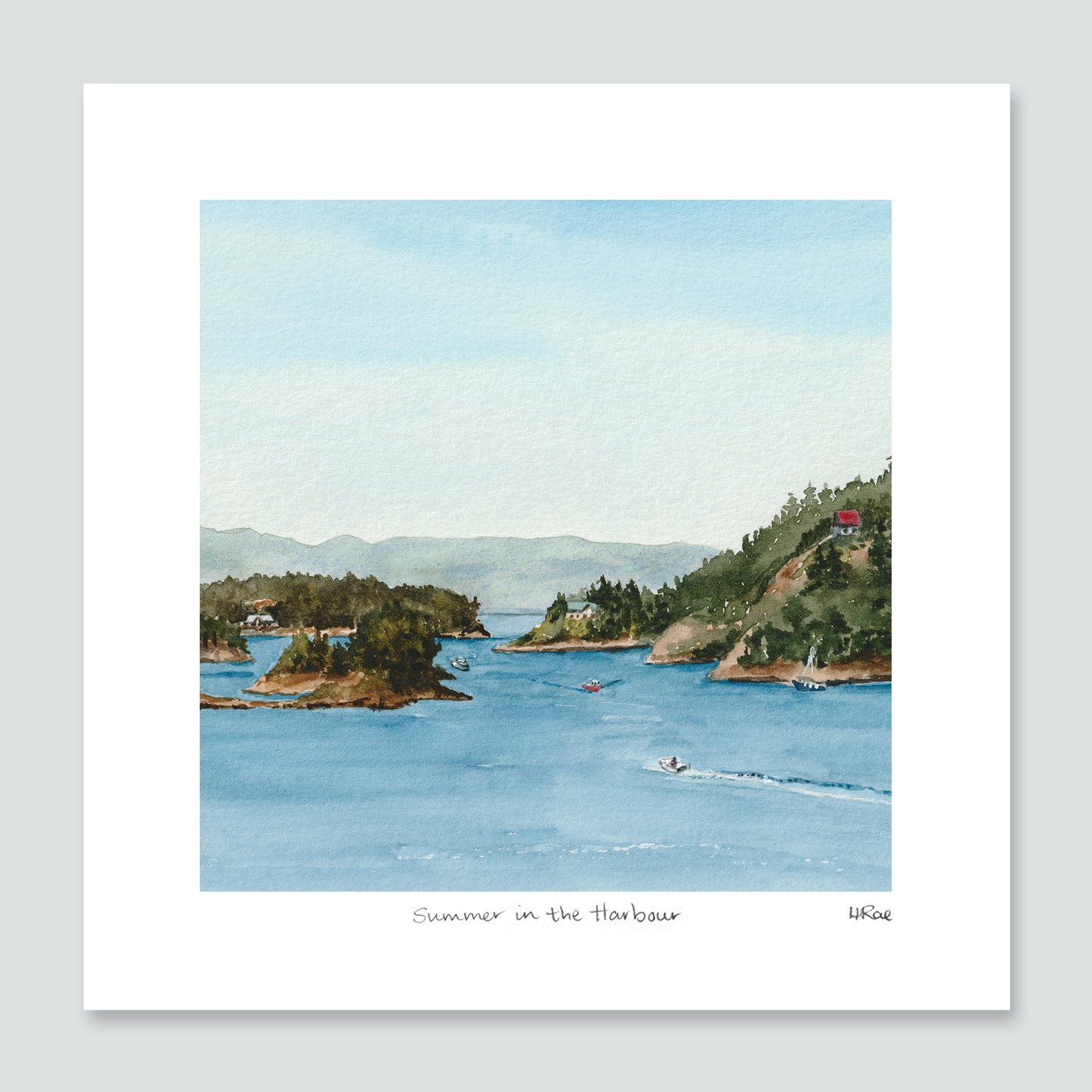 Summer in the Harbour