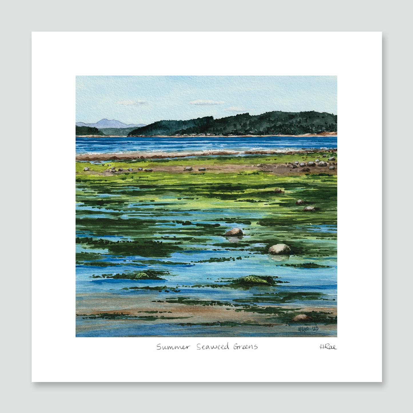 Summer Seaweed Greens