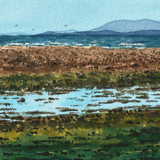 Tidal Flow