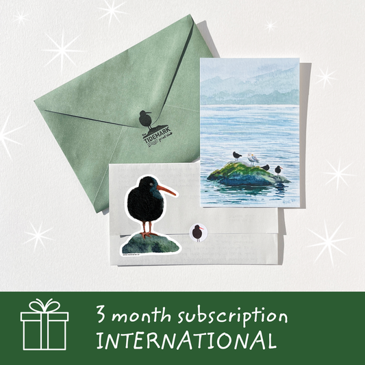 3 Month Mail Club • INTERNATIONAL